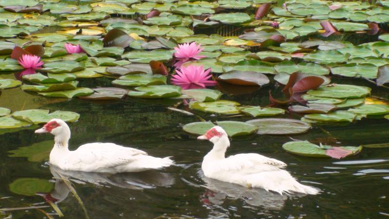 Nirvana Spiritual Retreat Gloucester Bagian luar foto